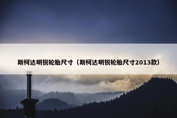 斯柯达明锐轮胎尺寸（斯柯达明锐轮胎尺寸2013款）