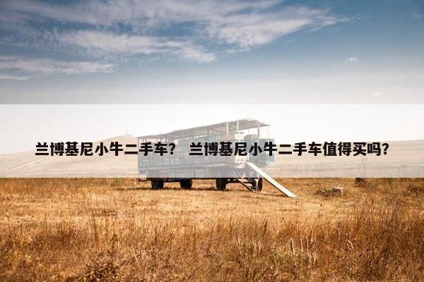 兰博基尼小牛二手车？ 兰博基尼小牛二手车值得买吗？