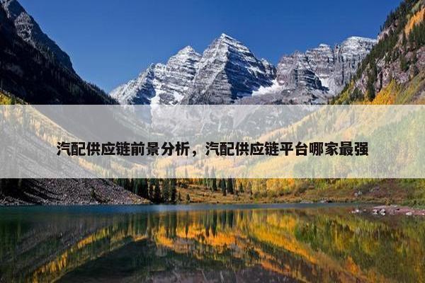 汽配供应链前景分析，汽配供应链平台哪家最强