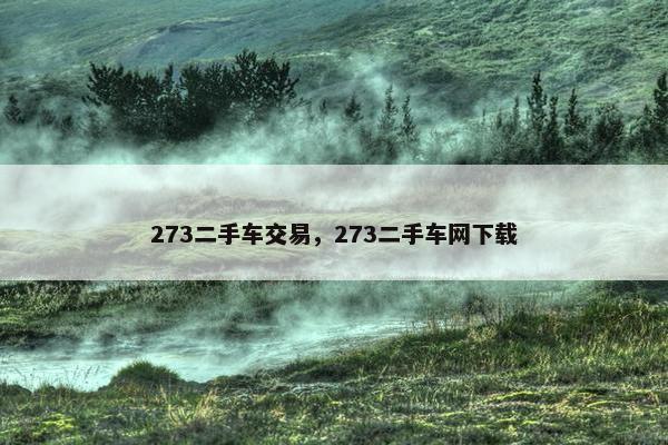 273二手车交易，273二手车网下载