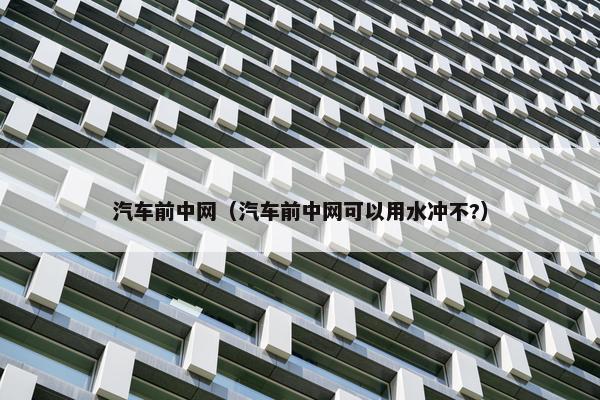 汽车前中网（汽车前中网可以用水冲不?）