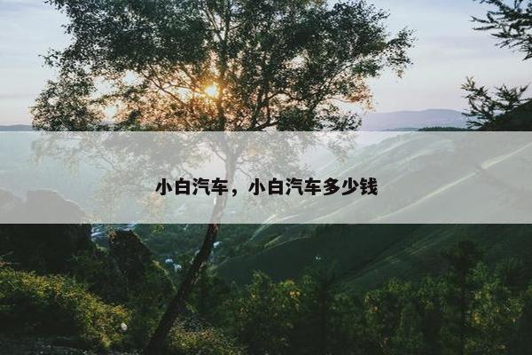小白汽车，小白汽车多少钱