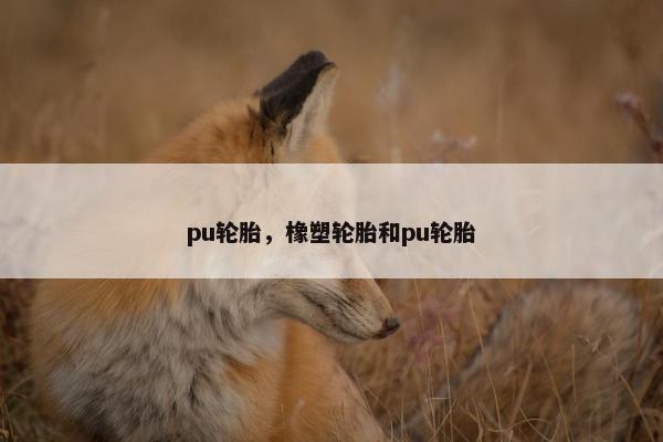 pu轮胎，橡塑轮胎和pu轮胎
