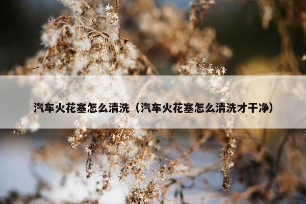 汽车火花塞怎么清洗（汽车火花塞怎么清洗才干净）
