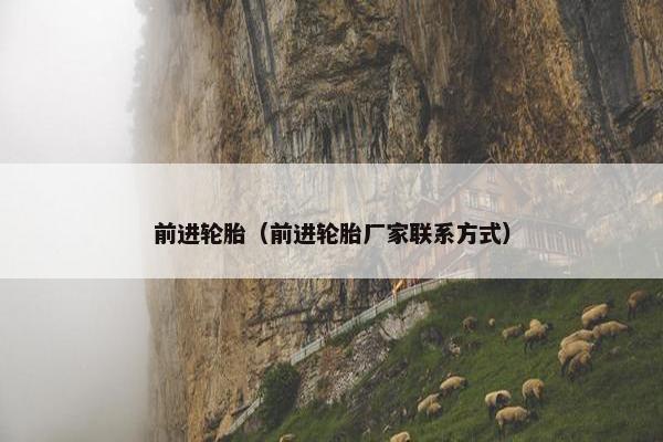 前进轮胎（前进轮胎厂家联系方式）