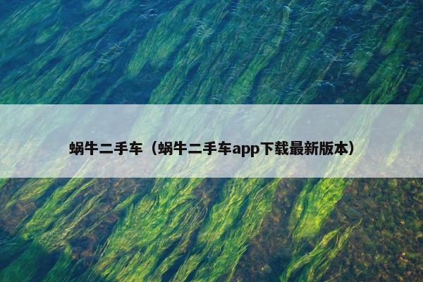 蜗牛二手车（蜗牛二手车app下载最新版本）