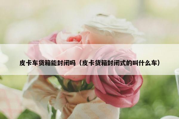皮卡车货箱能封闭吗（皮卡货箱封闭式的叫什么车）