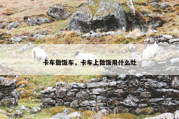 卡车做饭车，卡车上做饭用什么灶