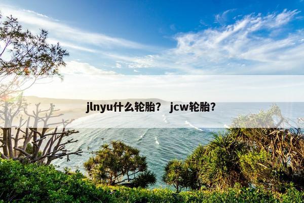 jlnyu什么轮胎？ jcw轮胎？