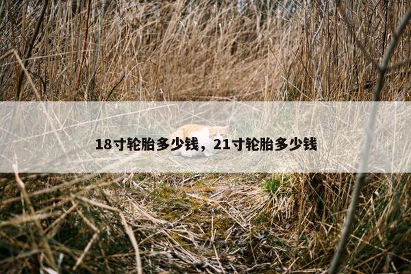 18寸轮胎多少钱，21寸轮胎多少钱