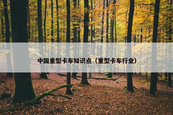 中国重型卡车知识点（重型卡车行业）