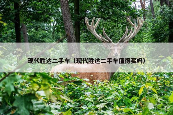 现代胜达二手车（现代胜达二手车值得买吗）