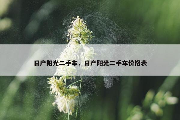 日产阳光二手车，日产阳光二手车价格表