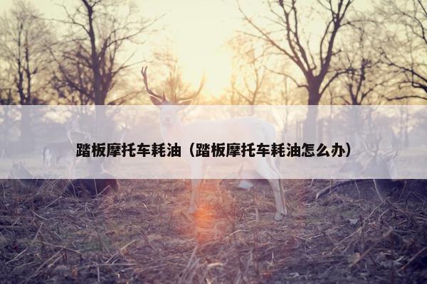 踏板摩托车耗油（踏板摩托车耗油怎么办）