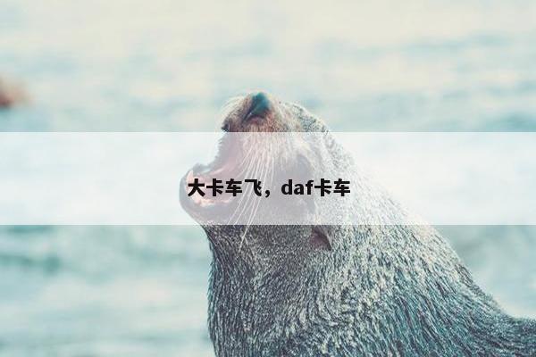 大卡车飞，daf卡车