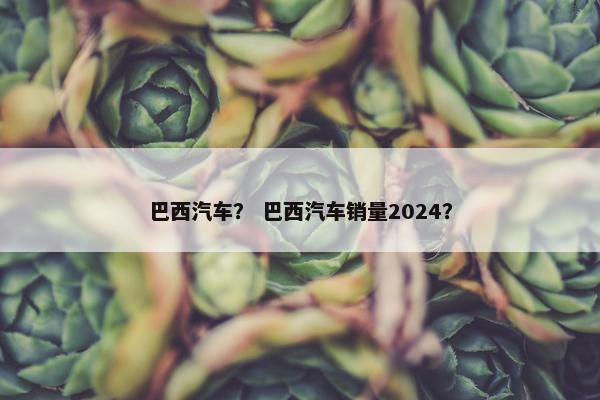 巴西汽车？ 巴西汽车销量2024？