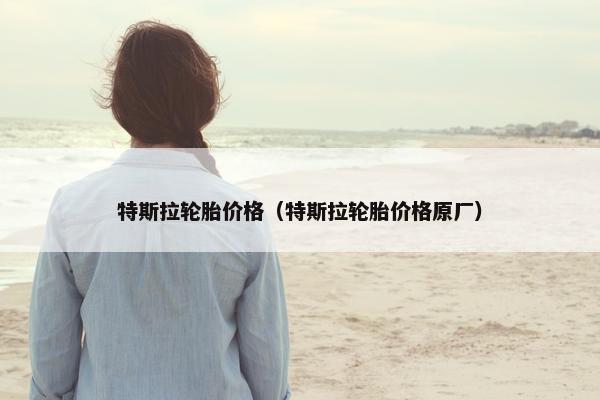 特斯拉轮胎价格（特斯拉轮胎价格原厂）