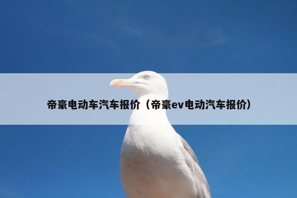 帝豪电动车汽车报价（帝豪ev电动汽车报价）