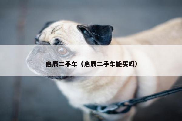 启辰二手车（启辰二手车能买吗）