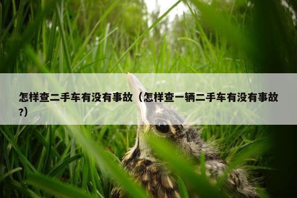 怎样查二手车有没有事故（怎样查一辆二手车有没有事故?）