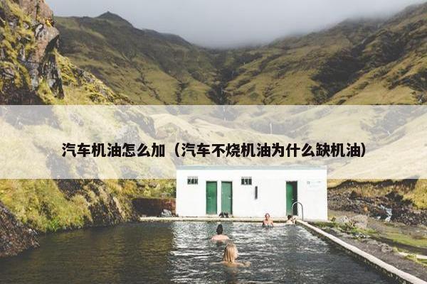 汽车机油怎么加（汽车不烧机油为什么缺机油）