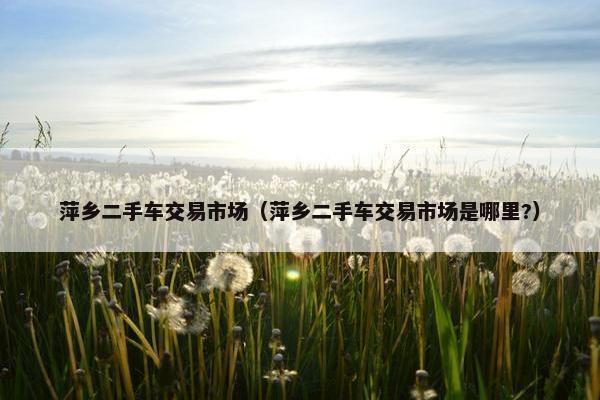 萍乡二手车交易市场（萍乡二手车交易市场是哪里?）