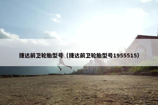 捷达前卫轮胎型号（捷达前卫轮胎型号1955515）