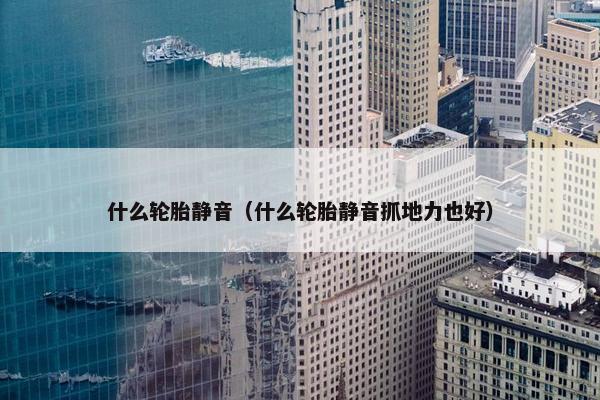 什么轮胎静音（什么轮胎静音抓地力也好）