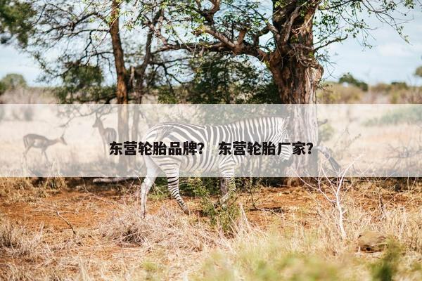 东营轮胎品牌？ 东营轮胎厂家？