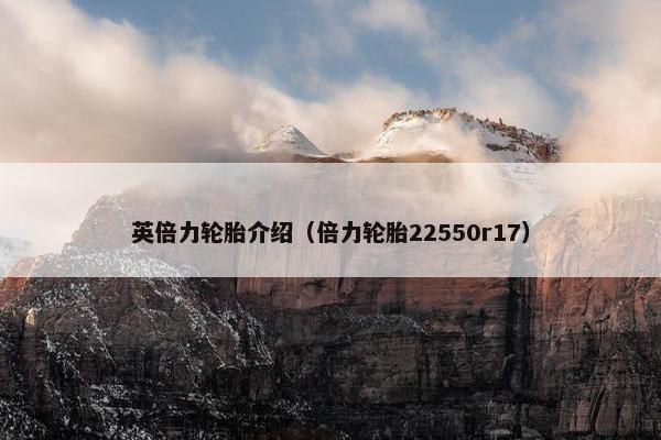 英倍力轮胎介绍（倍力轮胎22550r17）