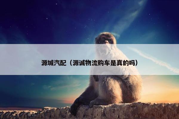 源城汽配（源诚物流购车是真的吗）