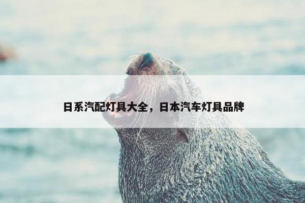 日系汽配灯具大全，日本汽车灯具品牌