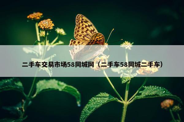 二手车交易市场58同城网（二手车58同城二手车）