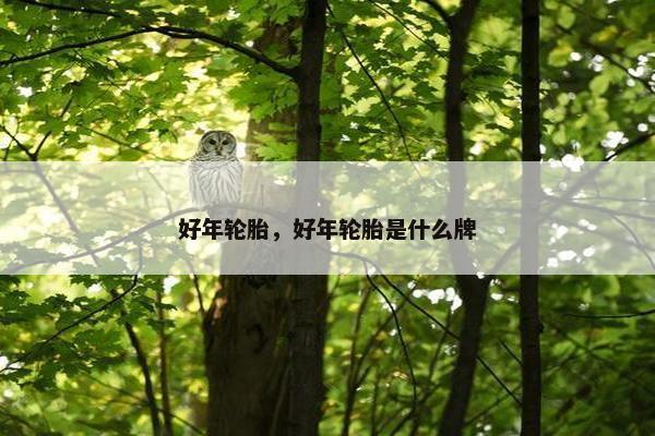 好年轮胎，好年轮胎是什么牌