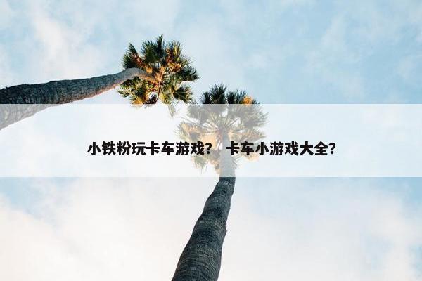 小铁粉玩卡车游戏？ 卡车小游戏大全？