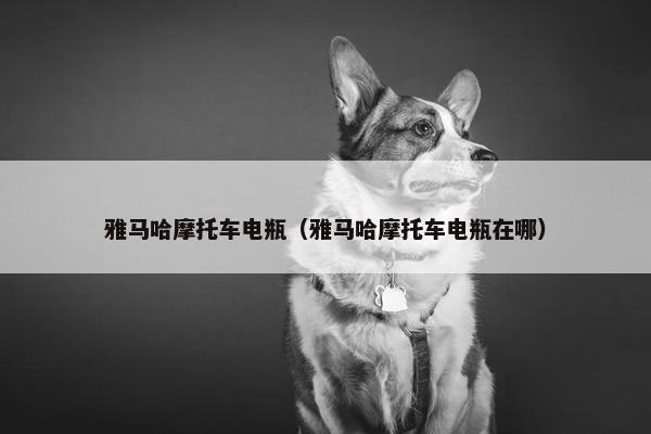 雅马哈摩托车电瓶（雅马哈摩托车电瓶在哪）