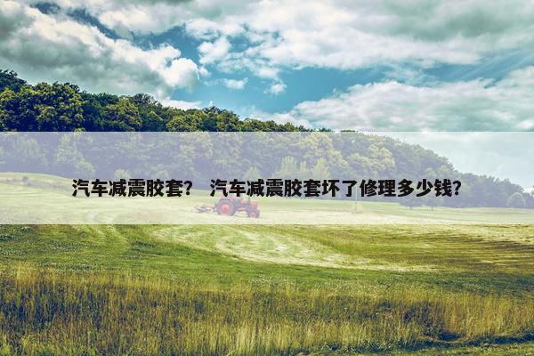 汽车减震胶套？ 汽车减震胶套坏了修理多少钱？