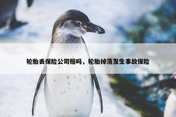 轮胎丢保险公司赔吗，轮胎掉落发生事故保险
