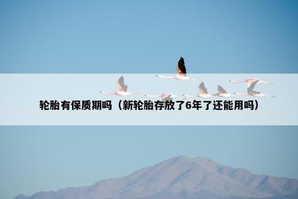 轮胎有保质期吗（新轮胎存放了6年了还能用吗）