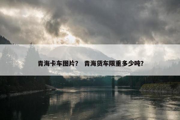 青海卡车图片？ 青海货车限重多少吨？
