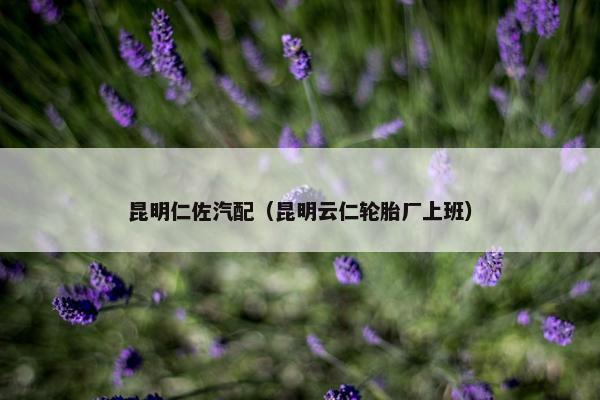 昆明仁佐汽配（昆明云仁轮胎厂上班）