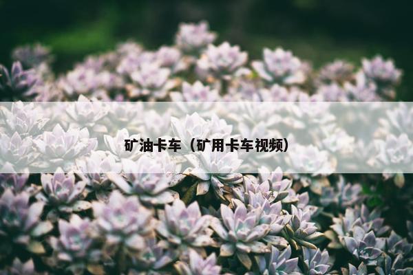 矿油卡车（矿用卡车视频）