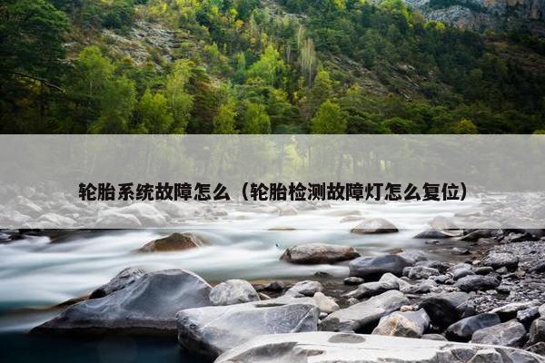 轮胎系统故障怎么（轮胎检测故障灯怎么复位）