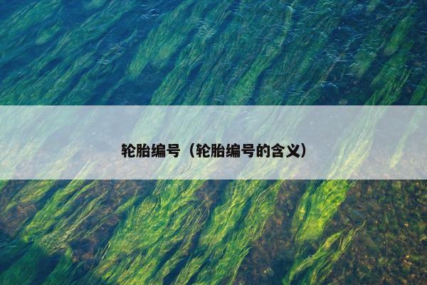 轮胎编号（轮胎编号的含义）