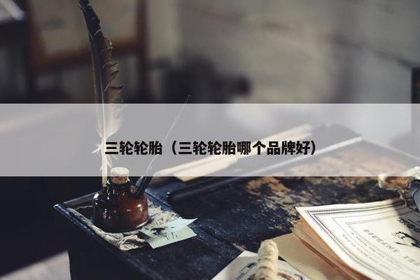 三轮轮胎（三轮轮胎哪个品牌好）