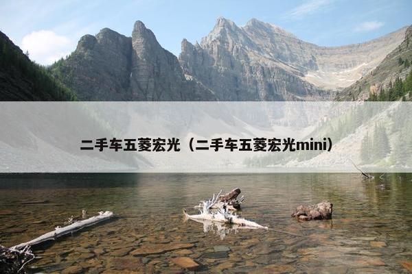 二手车五菱宏光（二手车五菱宏光mini）