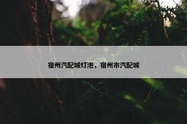 宿州汽配城灯泡，宿州市汽配城