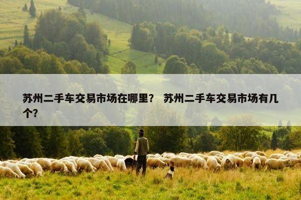苏州二手车交易市场在哪里？ 苏州二手车交易市场有几个？