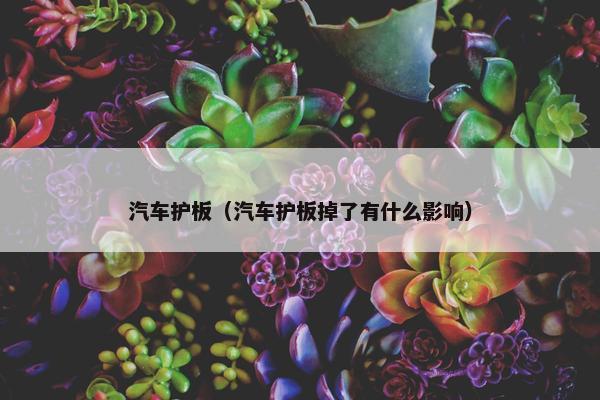 汽车护板（汽车护板掉了有什么影响）