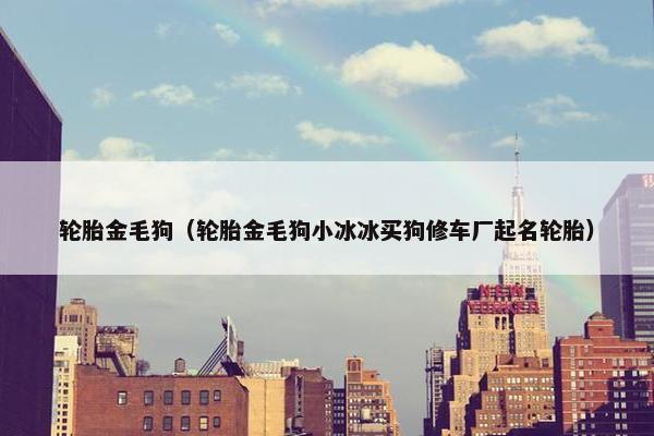 轮胎金毛狗（轮胎金毛狗小冰冰买狗修车厂起名轮胎）